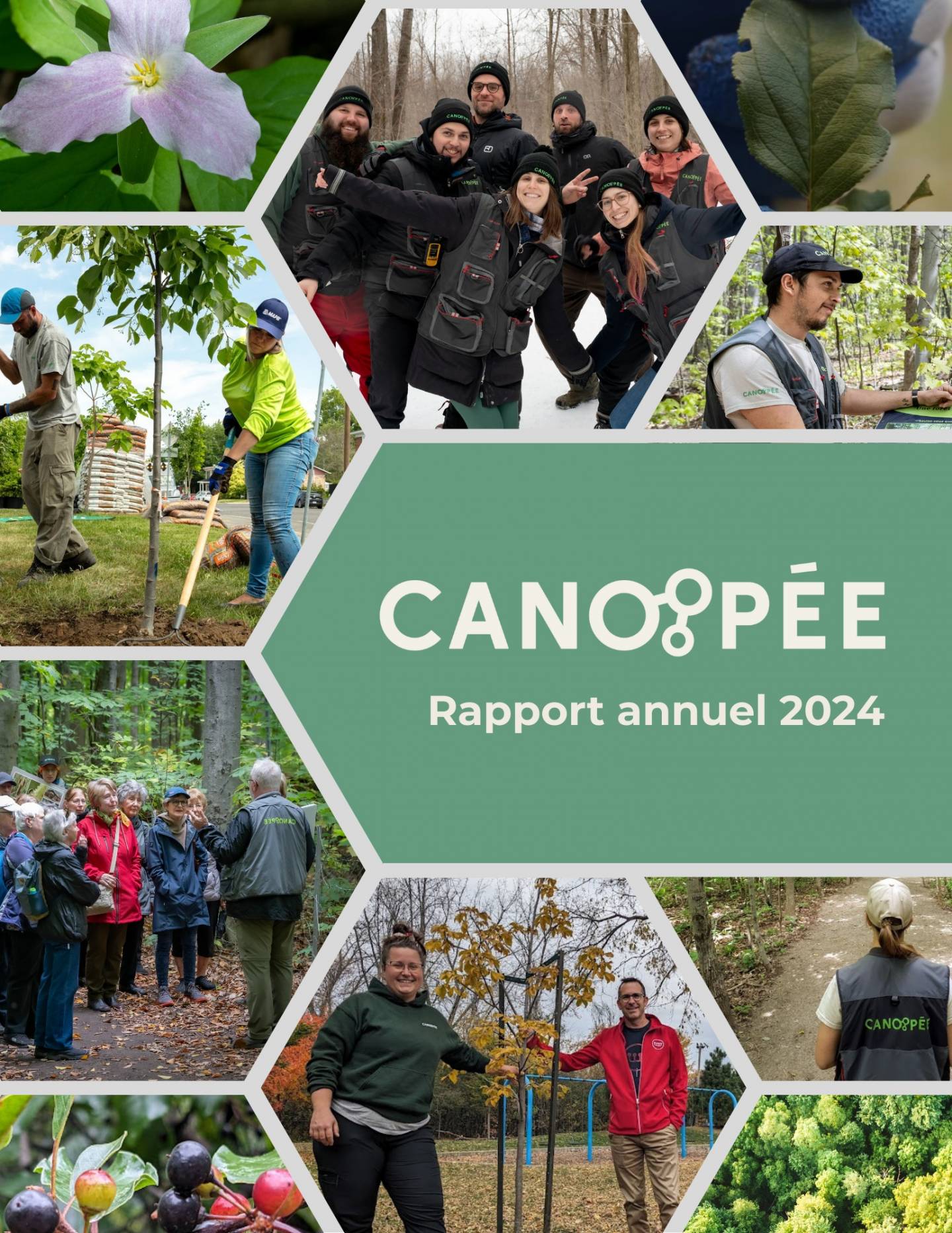 RapportAnnuel2024