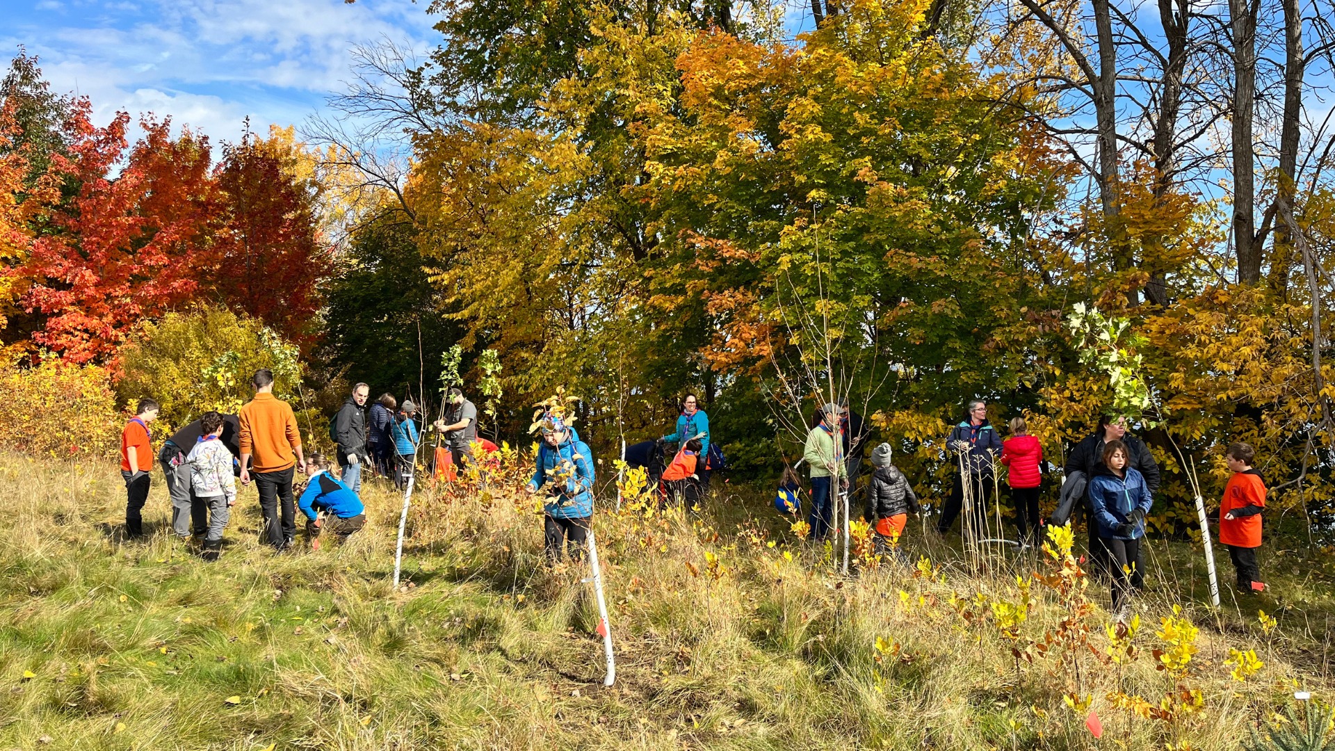 Benevolat_Plantation_Scouts64PetiteNation_EcoleCcureAntoineLabelle_Polyjeunesse_2022