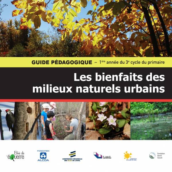 GuidePedagogique_Primaire