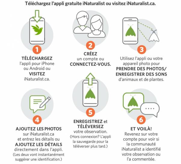 iNaturalist_Instructions