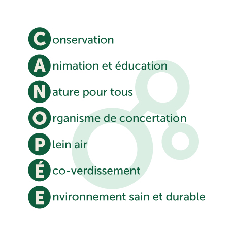 produit_31