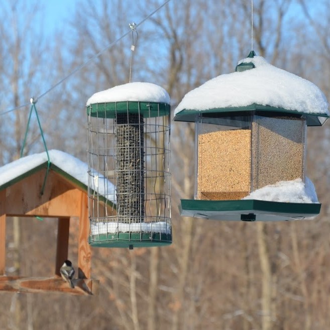 mangeoires oiseaux