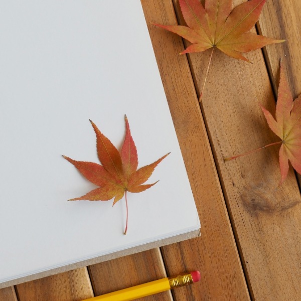 Activites_Automne2026_600x600px_JournalNatureAutomne