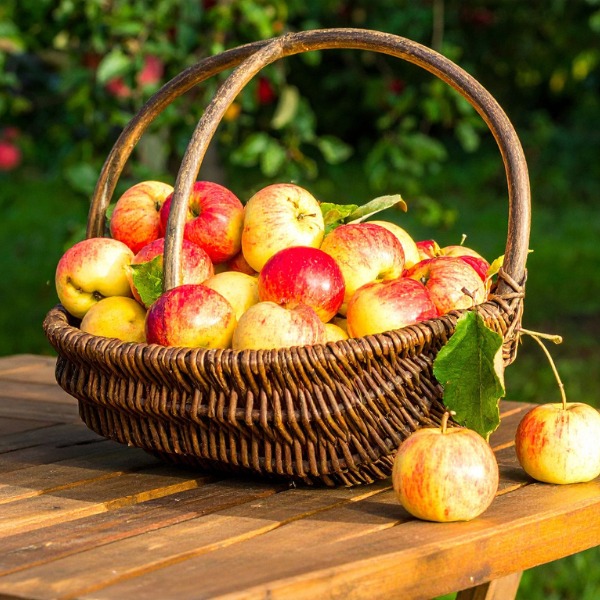 Activites_FeteAutomne2026_600x600px_KiosqueGourmand