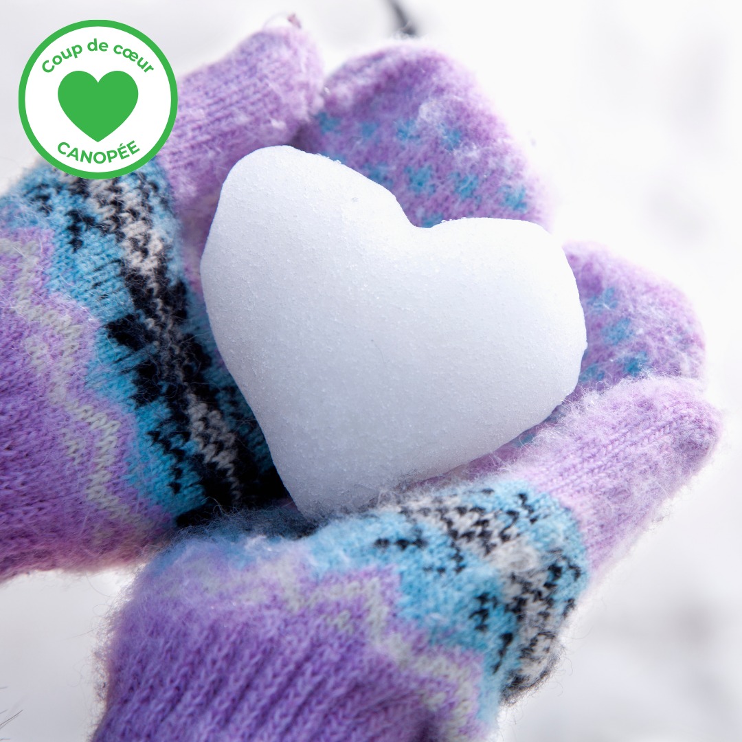 ActivitesWebCarre_NordiciteSolastalgie