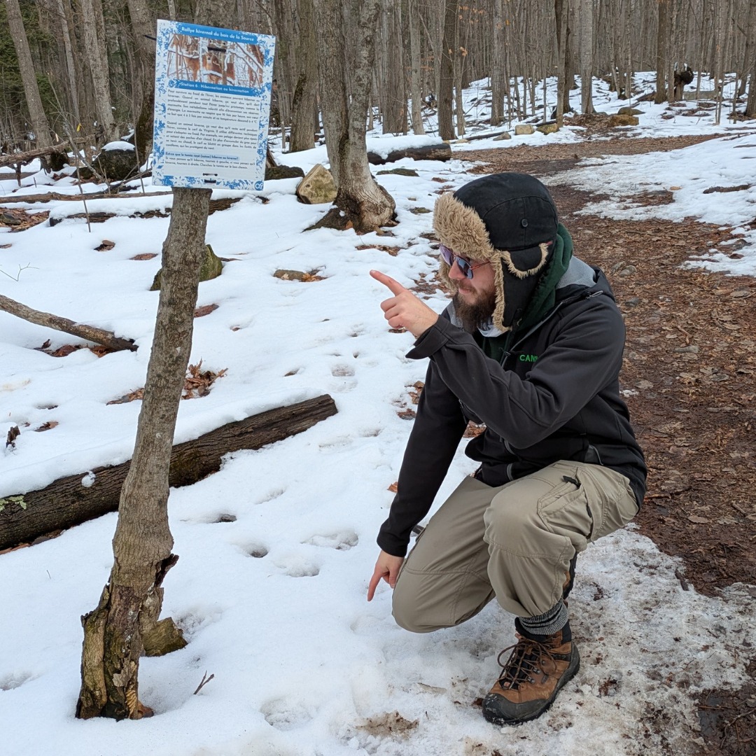 Empreintes dans la neige