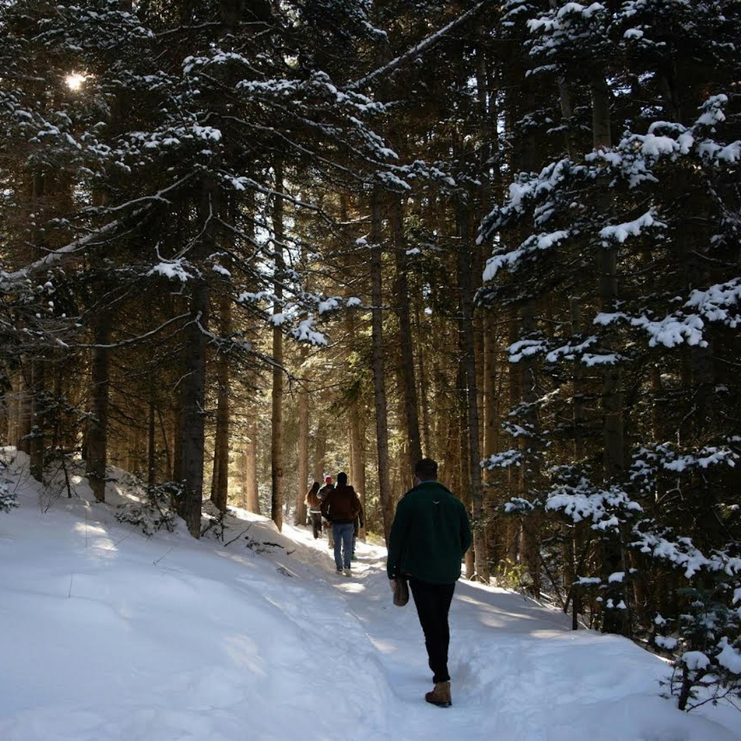 ActiviteWeb_ShinrinYoku