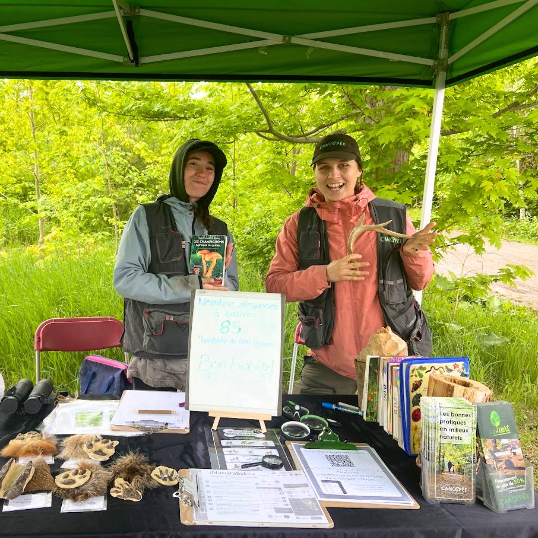 ActiviteWeb_Bioblitz