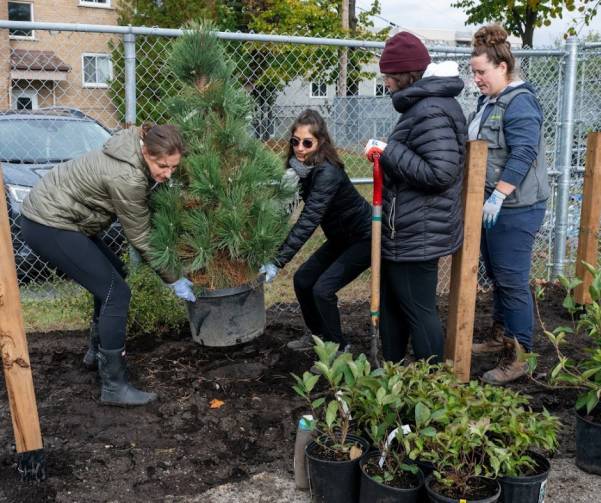 BenevolatIndividuel_Verdissement