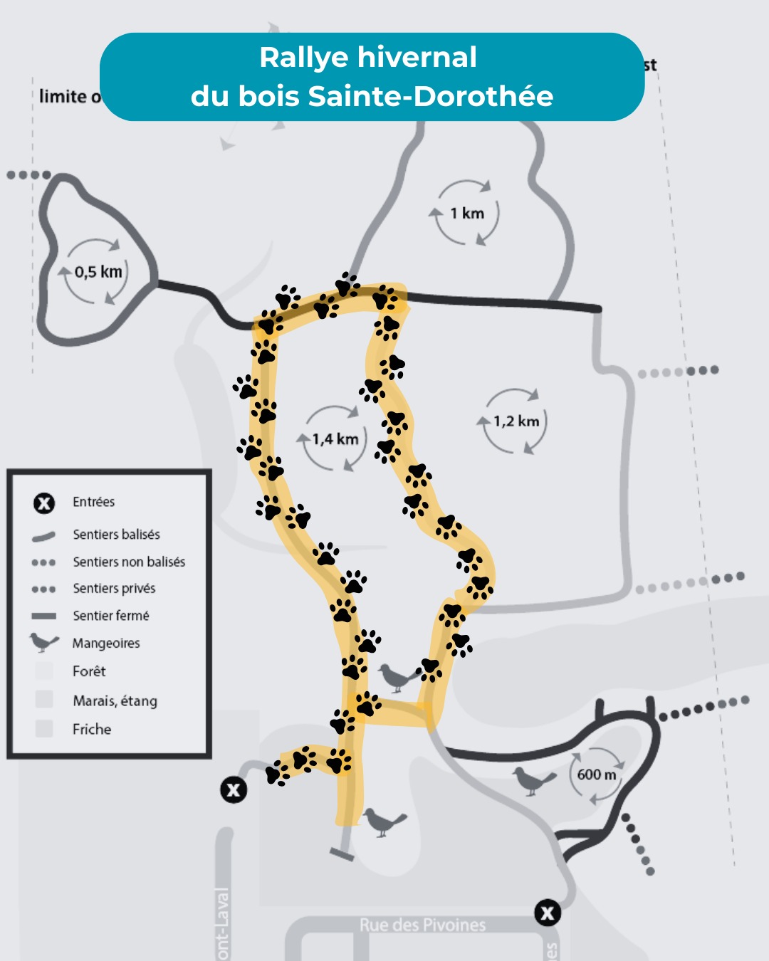 Cartes_RallyesHivernaux_SteDo