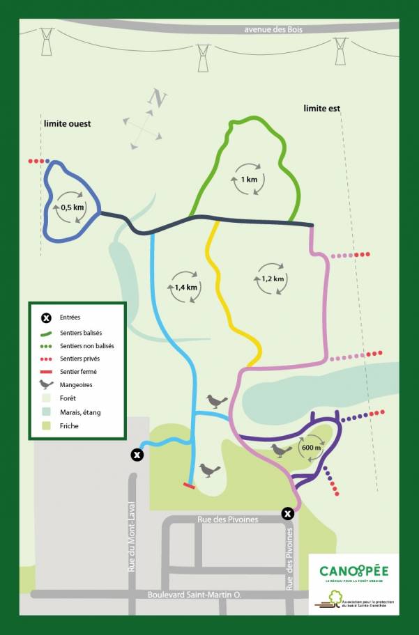 Carte bois Sainte-Dorothée 2024