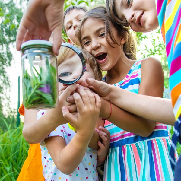 FetePollinisateurs_Bioblitz_600x600