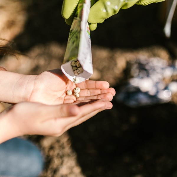 FetePollinisateurs_TableEchange_600x600