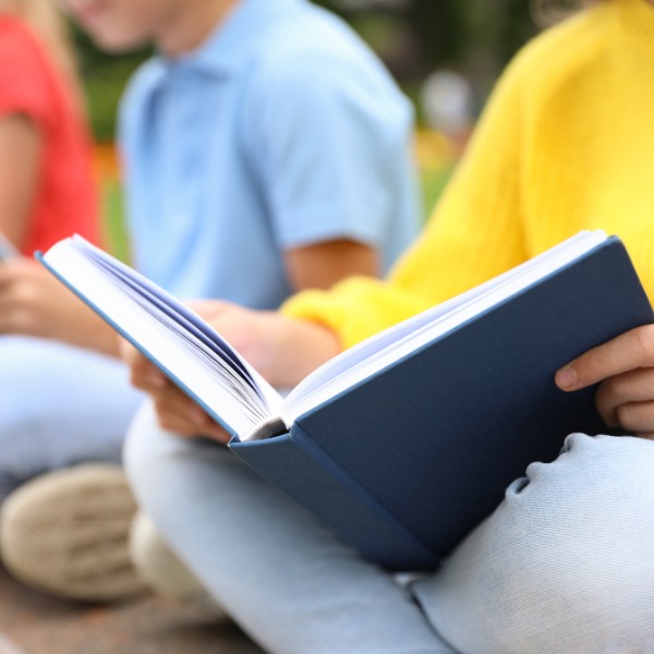 FetePollinisateurs_ZoneLecture_600x600