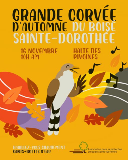 grande-corvee-automne