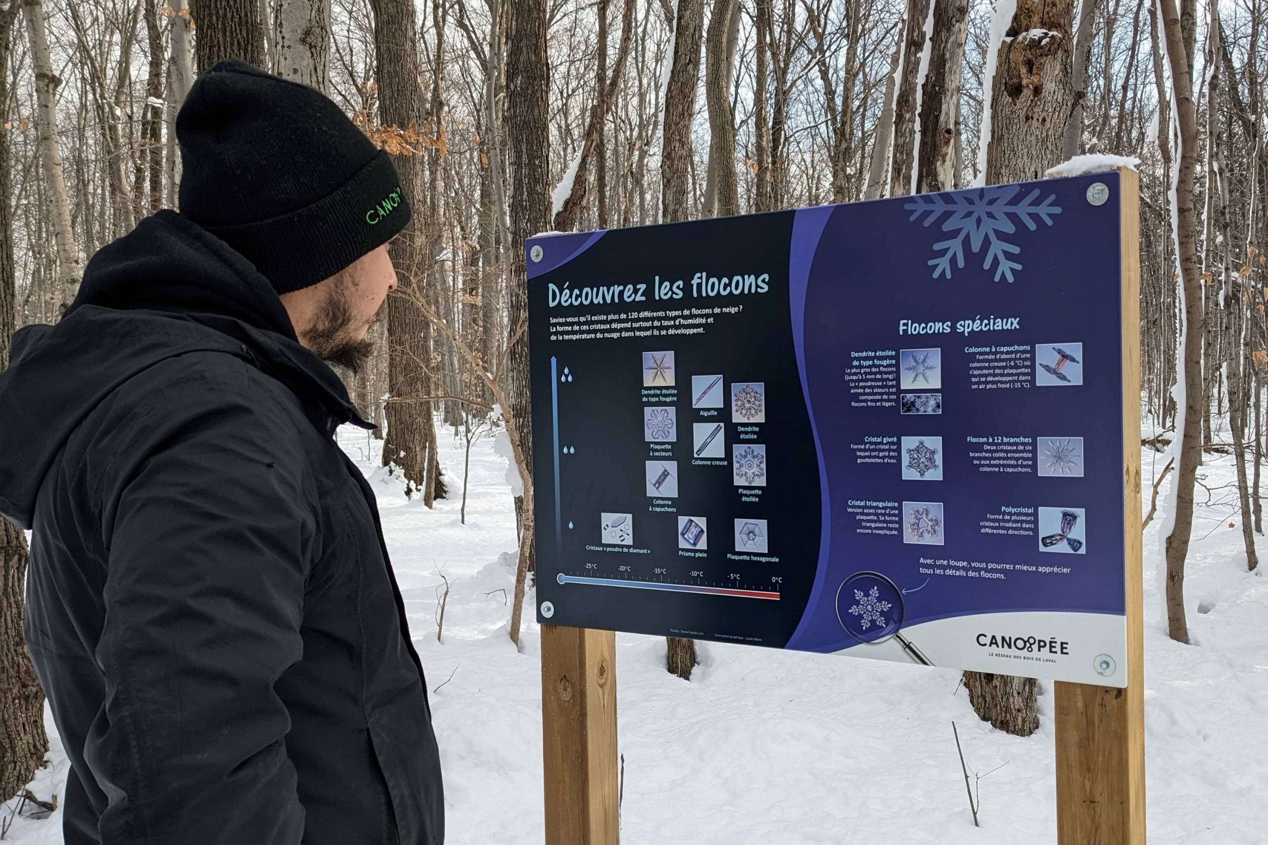 Panneau expliquant les différents types de flocons