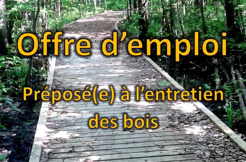 offre-emploi-prepose-entretien21