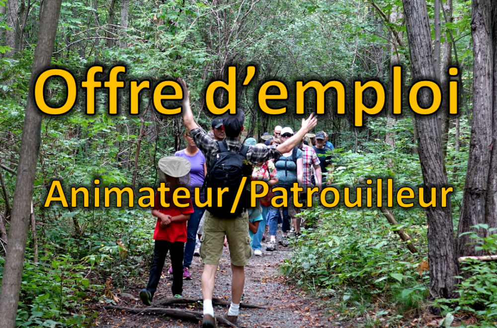 offre_emploi_patrouilleur-animateur