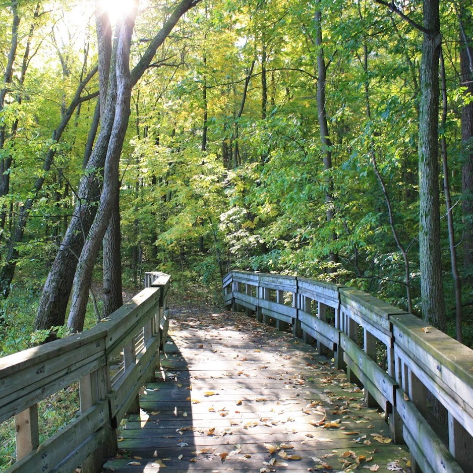 L'Orée-des-bois