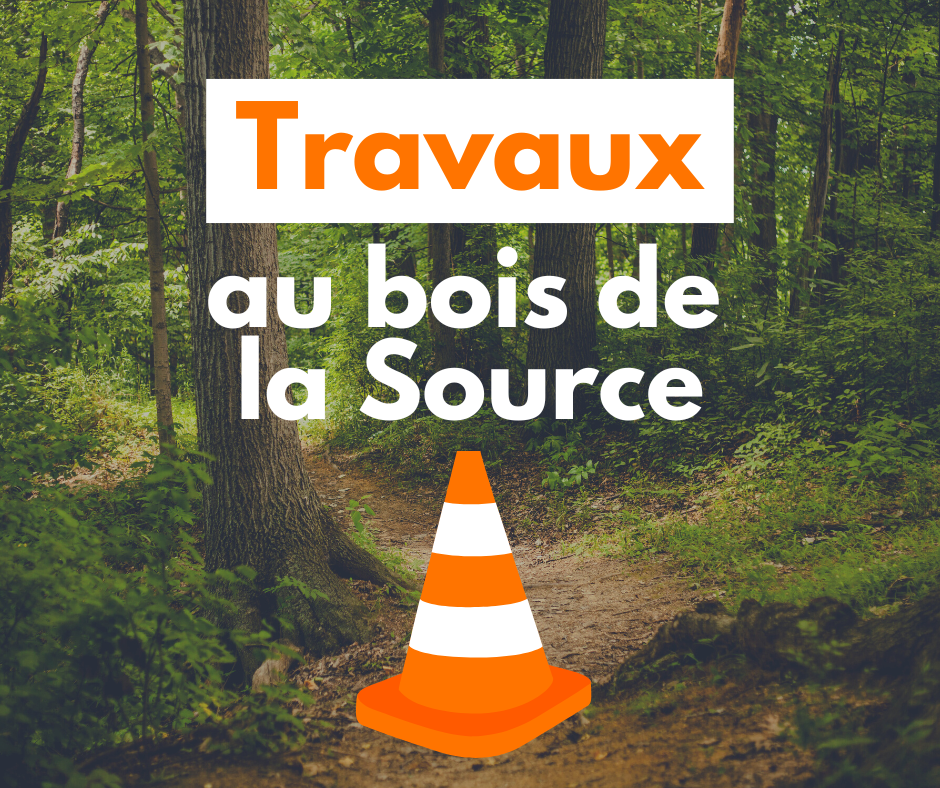 Travaux au bois de la Source