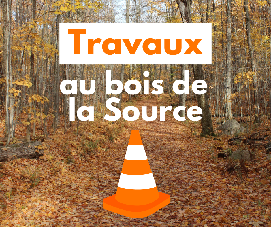 Travaux au bois de la Source