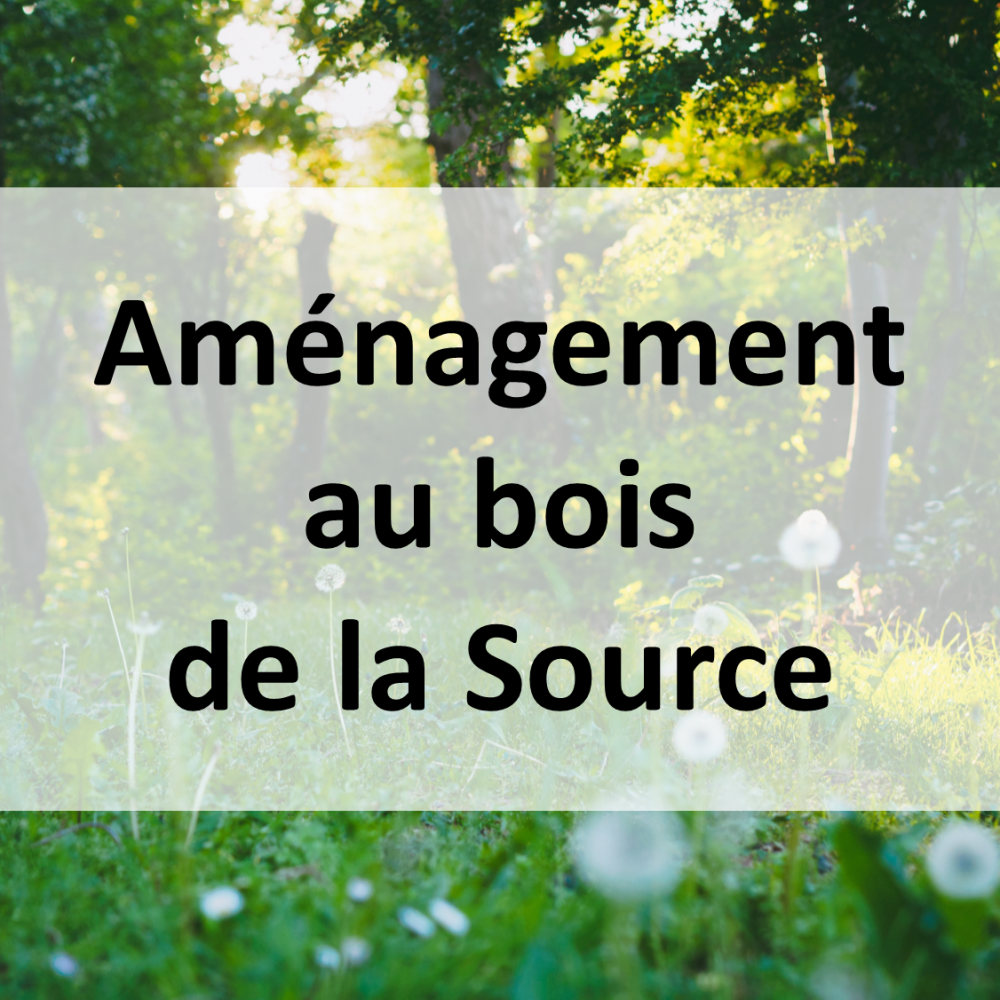 Reactions_ConsultationPublique_AmenagementBoisLaSource