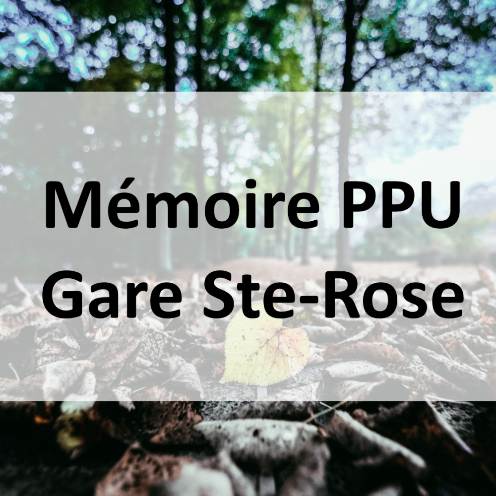 PPU_GareSteRose