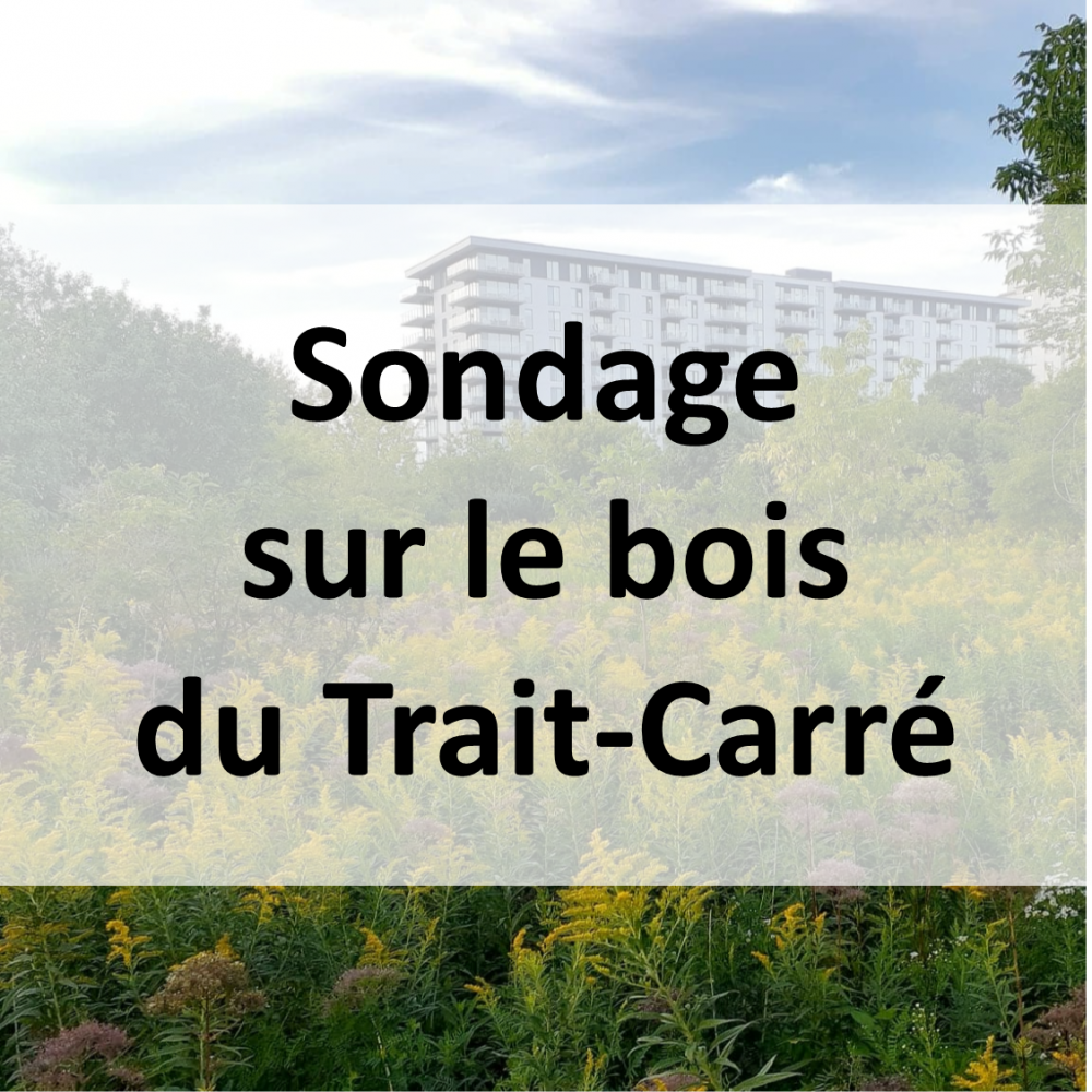 SondageBoisTraitCarre_Resultats