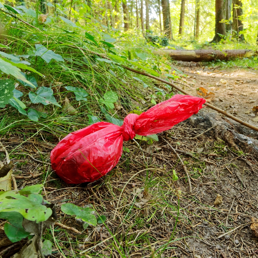 Bonnes pratiques en milieu naturel