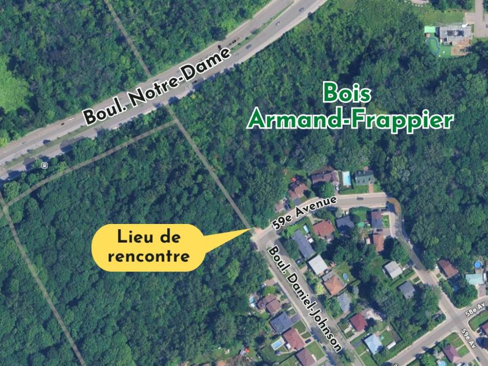 Carte_BoisAF_EntreeDanielJohnson