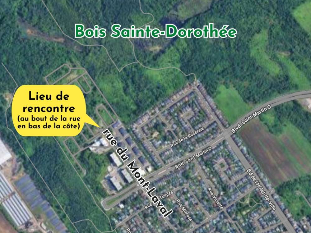 Carte_BoisSteDo_RueMontLaval