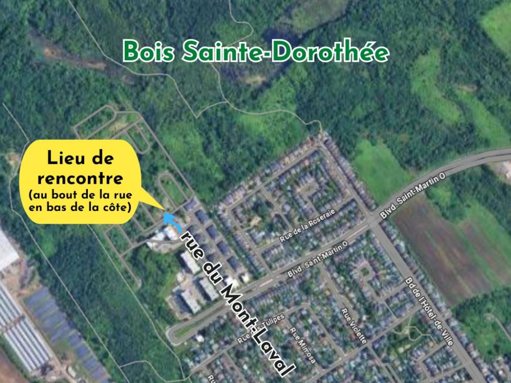 Carte_BoisSteDo_RueMontLaval