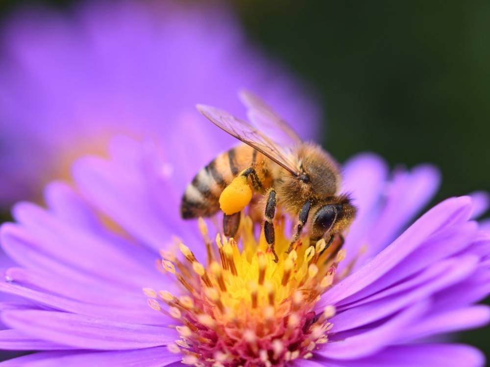 CommuniquePresse_ProgrammationPrintemps2026