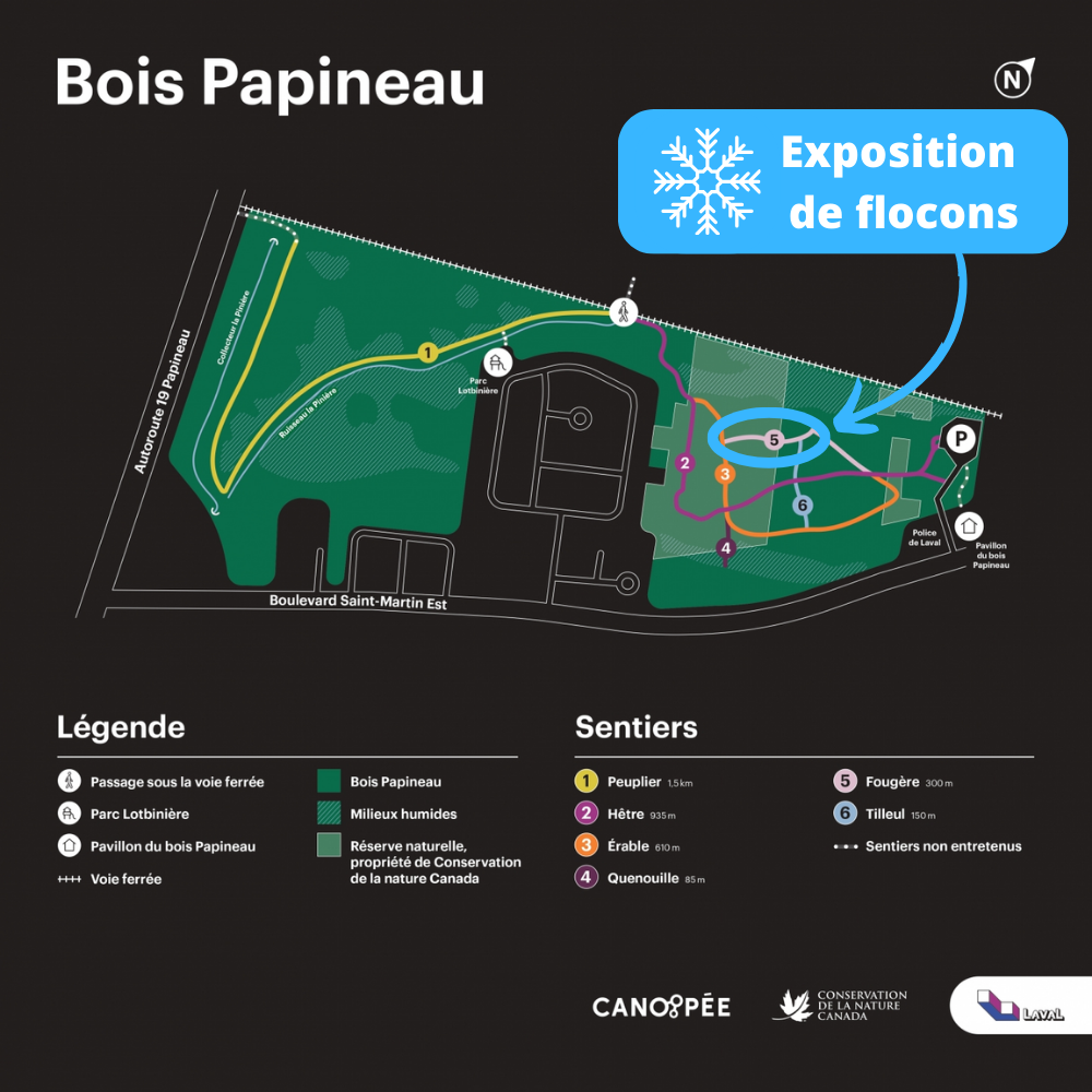 expoflocons-boispapineau_uid6578ab9c64b73