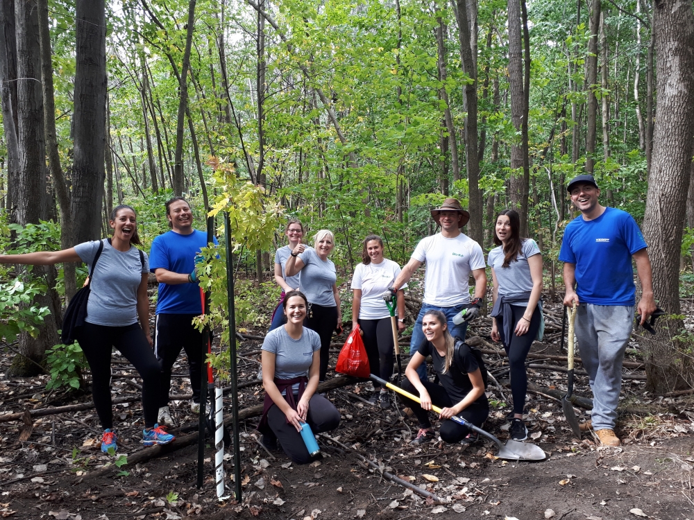 Plantation avec Bio-K+ au bois Papineau