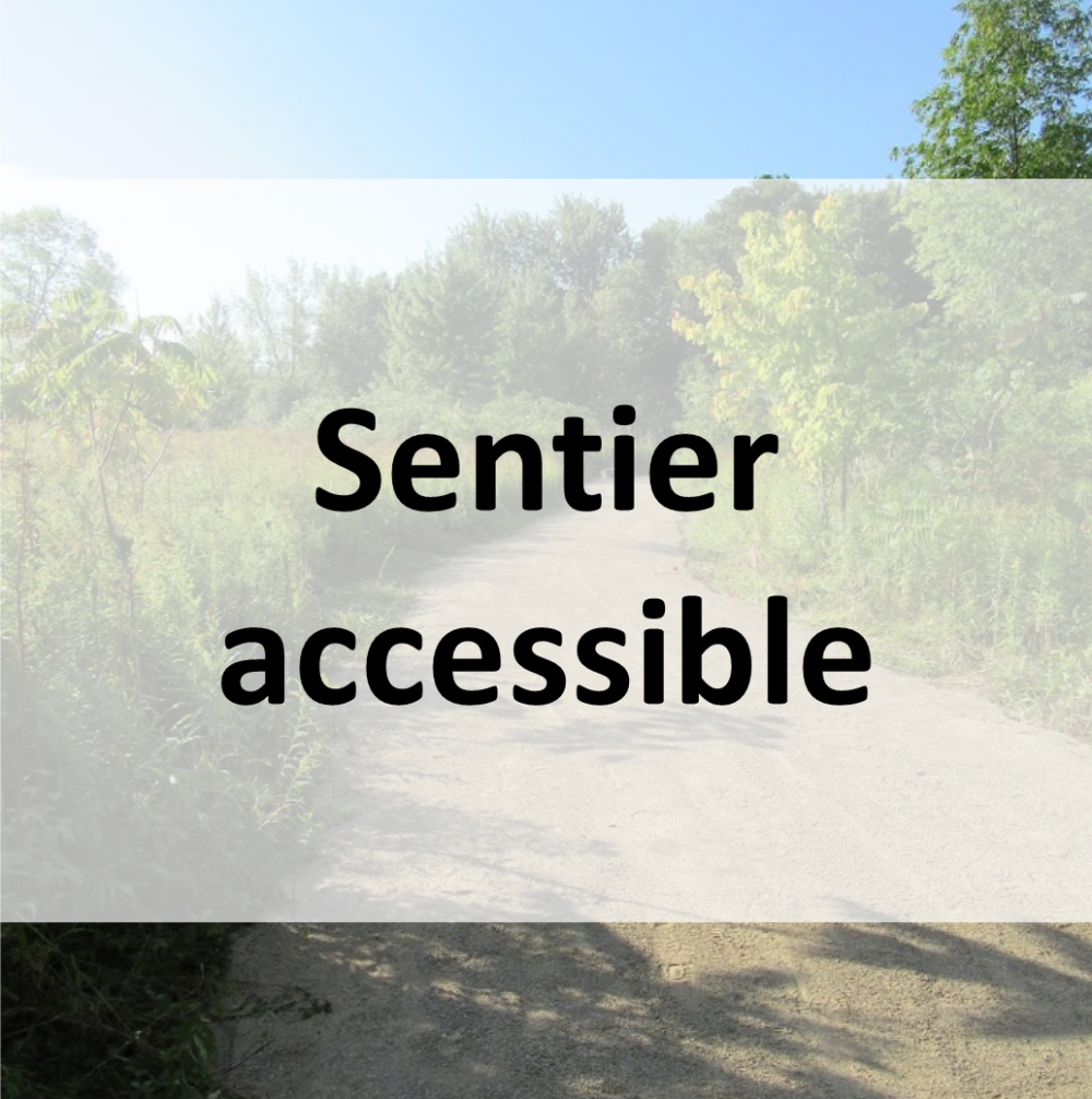 Sentier accessible
