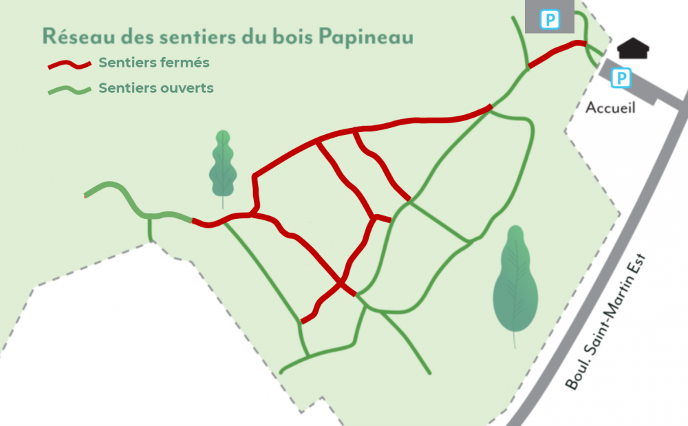 Fermeture des sentiers au bois Papineau