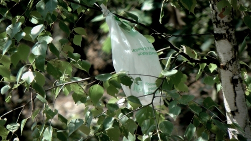 forest-littering-recycle-trash-2609221