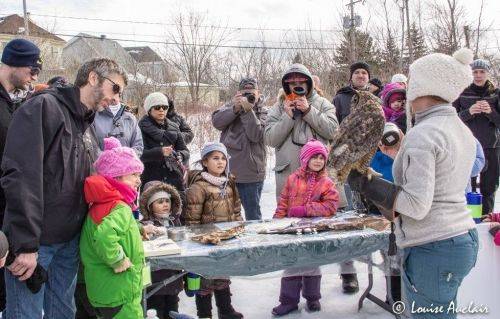 pm-famille-bois-sainte-dorothee2